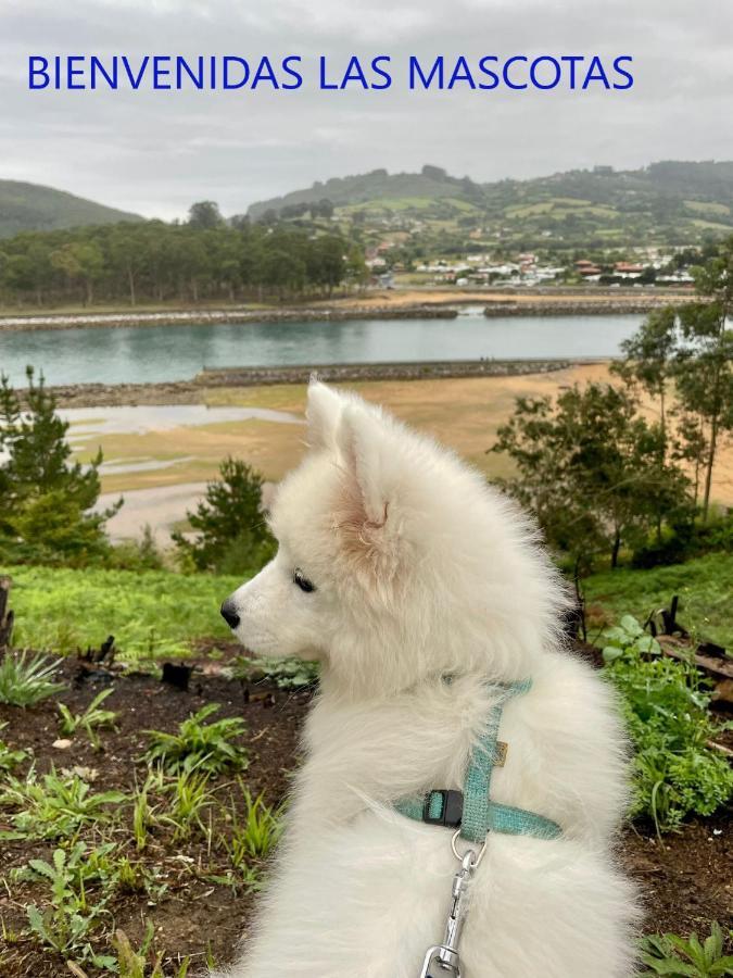 Playa Del Puntal Villaviciosa Asturias Lujo Primera Linea Playa 外观 照片