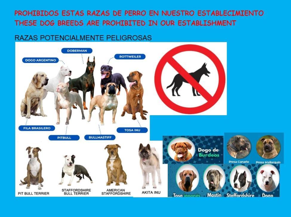 Playa Del Puntal Villaviciosa Asturias Lujo Primera Linea Playa 外观 照片